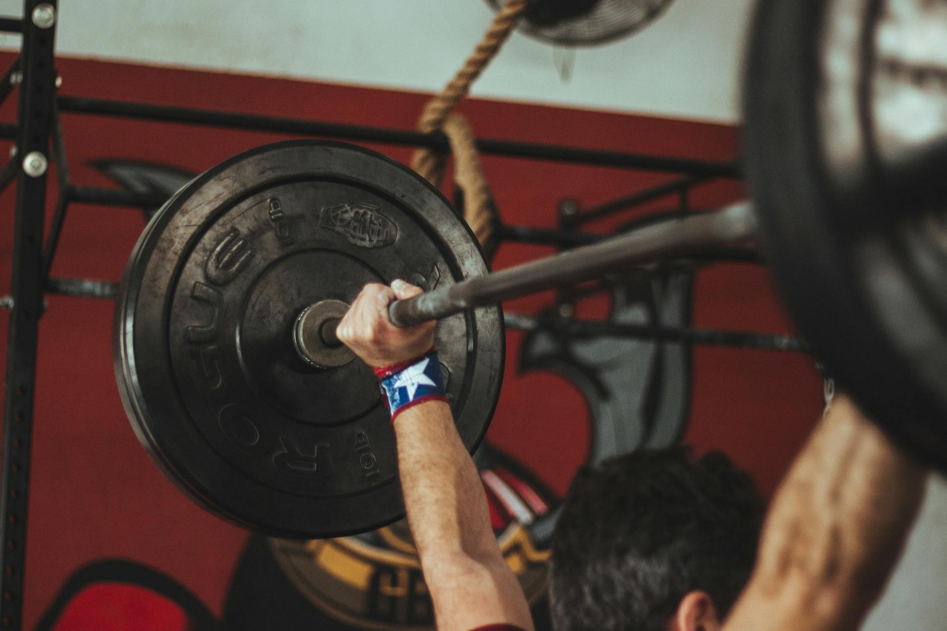 Elephantgym Fitness Club contact